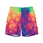 Rainboe fracktles Recycled Swim Trunks - CTDSF